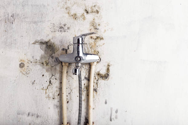 Professional Mold Removal in Salem Heights, OH