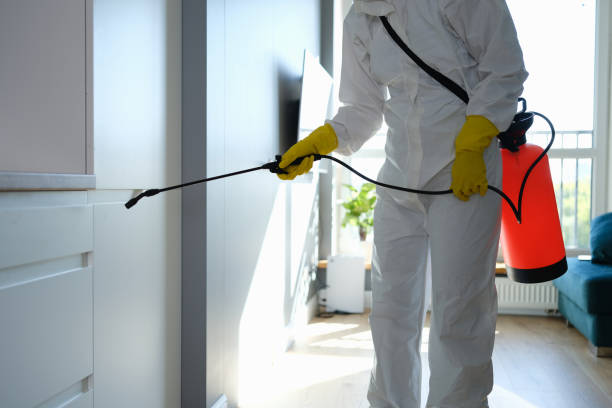 Mold Testing and Removal in Salem Heights, OH