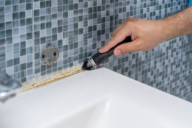 Best Attic Mold Removal  in Salem Heights, OH