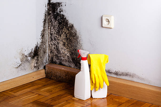 Best Crawl Space Mold Removal  in Salem Heights, OH